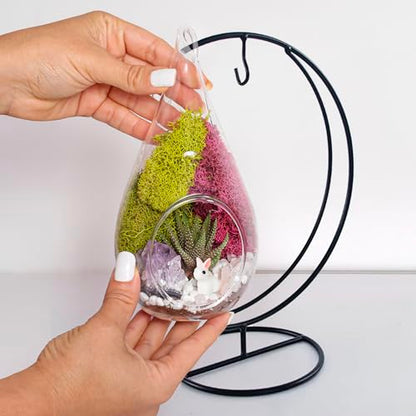 Creations by Nathalie DIY 7" Teardrop Terrarium Kit DIY Terrarium Kit with Live Succulent & Moss, Glass Terrarium Kit for Adults & Teens, Terrarium Moss Kit with Crystals, Handcrafted in the USA - color: Customizable Glass