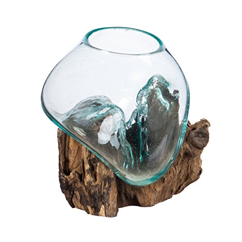 Cape Craftsmen 7" Hand-Blown Blue Tinted Bubble Glass On Natural Teak Driftwood Terrarium Kit | Home Décor Indoor Planter with Stand | Pot for Succulent and Plants - size: Small (With Stand)