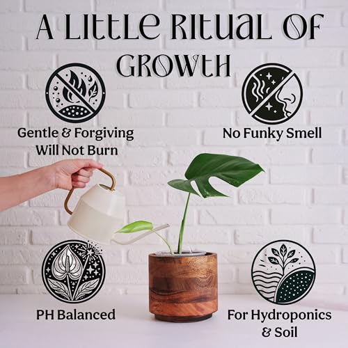 Organic Liquid Indoor Plant Food, Houseplant, Tropical & All-Purpose Indoor Plant Fertilizer, Organic Liquid Fertilizer 5-5-5 with Sea Kelp, 8oz Treats 50 Gallons - size: 8oz