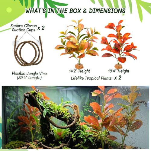3PC Reptile Terrarium Habitat Decor Kit – Realistic Artificial Reptile Plants with Hanging Vine, Resin Stone Base – Tropical Vivarium Tank Decor for Crested Gecko, Lizard & Snake Habitat (Peperomia) - color: Peperomia Polybotrya