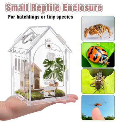 Acrylic Jumping Spider Enclosure 3.15"x3.15"x5.6" – Magnetic Front Opening Terrarium for Tarantulas, Mantis & Small Reptiles | Escape-Proof Habitat with Ventilation & No-Tool Assembly