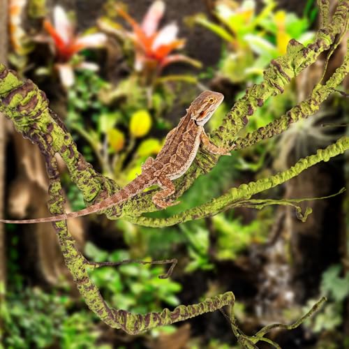 PINVNBY Flexible Bend-A-Branch Jungle Vines Pet Habitat Decor Reptile Plants Terrarium for Lizard, Frogs, Snakes and More Reptiles Climbing (Fat: 43.31 x 0.79 Inch) - size: 1PCS