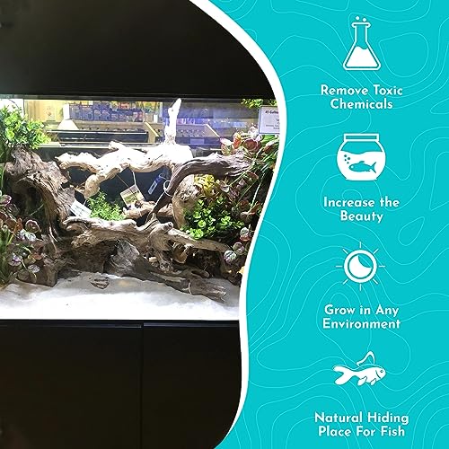 Pacific Wood for Aquascaping Size: Medium