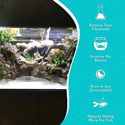 Pacific Wood for Aquascaping Size: Medium