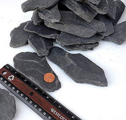 Natural Slate Stone 3 to 5 inch Rocks for Miniature and Fairy Garden, Aquascaping Aquariums, Reptile enclosures & Model Railroad. (5lbs) | Hand sorted, tumbled & washed in the US by our family-owned small business. Great in paludariums, mosaics & fairy ga