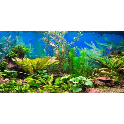 AWERT 60x24 inches Aquarium Background Aquatic Plant River Bed & Lake Fish Tank Background Vinyl - size: 60x24in/150x60cm