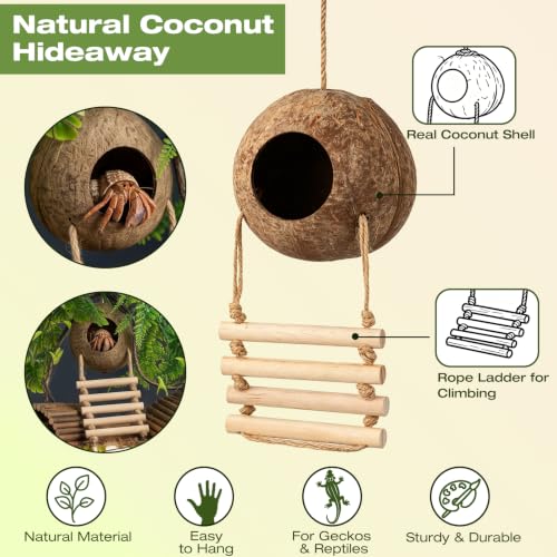 10PCS Crested Gecko Tank Accessories, Leopard Gecko Tank Accessories | Reptile Tank Accessories Kit, Coconut Hide for Crested Gecko/Leopard Gecko/Lizard/Snake/Hermit Crab/Chameleon Terrarium Decor