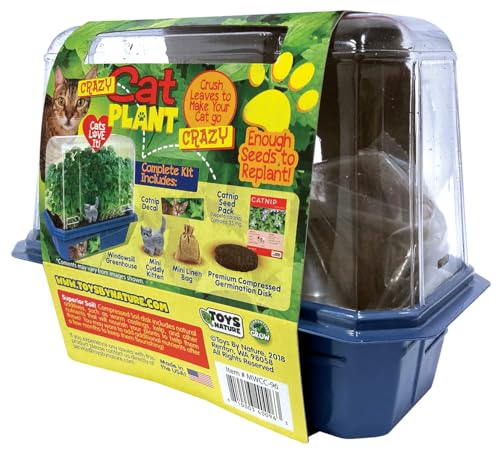 Toys by Nature Miniature Worlds Organic Catnip Windowsill Terrarium Starter Kit, Complete Supplies and Easy-to-Grow Indoor Plants Linen Sachet and Seeds Included! (Crazy Cat Plant) - style: Crazy Cat Plant