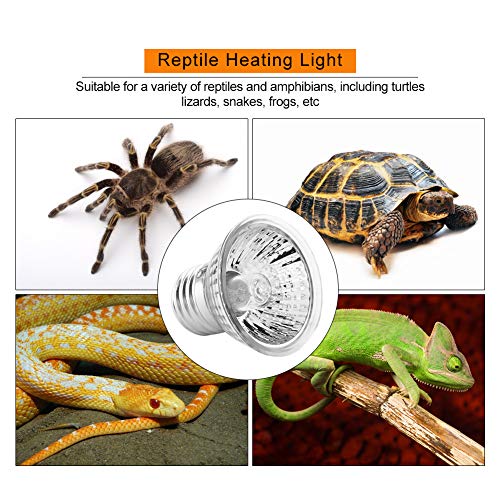 Fydun Uva Uvb Full, Lamp Sunbathe Lizard Warmness Bulb 25W Pet Heating Lamp Light Bulb Reptile Full Spectrum Sun Spectrum Solar Reptile Heating Mild (25W)
