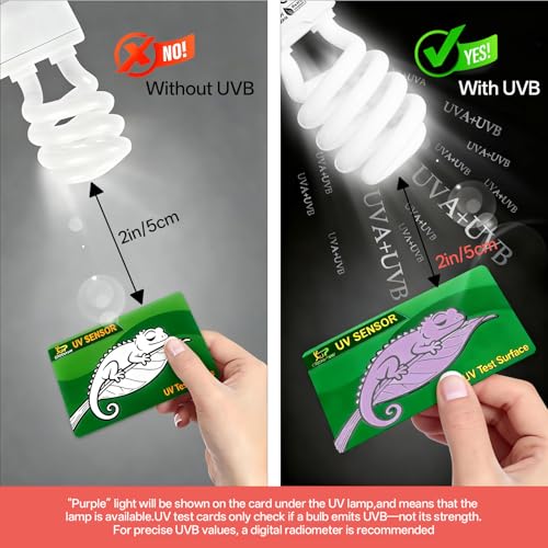 UVB Light for Reptiles 15.0: 26W UVA UVB Reptile Light Bulb for Intense Desert Species - Reptile UVB Light Terrarium Compact Fluorescent Lamp for Reptile and Amphibian with Free UV Sensor Card - size: 6.5INCH-15.0