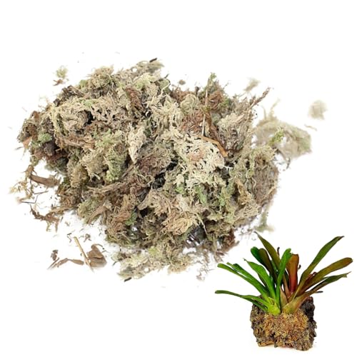 Sphagnum Moss Dried Spagnum Dry Moss for Reptiles Bedding and Terrarium Pet Supplies 150g Sphagnum Dried Dry for Reptiles Reptile Spagnum for Plants