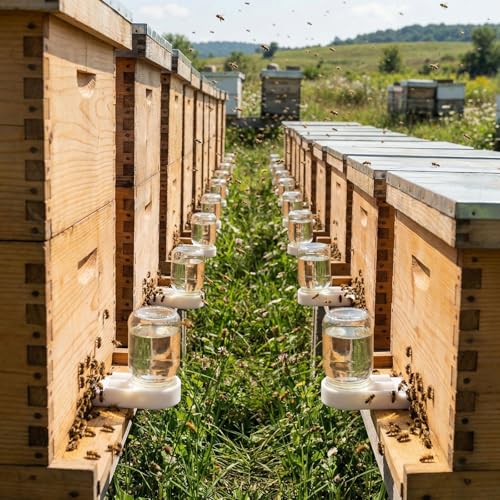 AukBeeFun 8 Pack Bee Feeders for Hives Mason Jar Sugar Water Feeder for Bees
