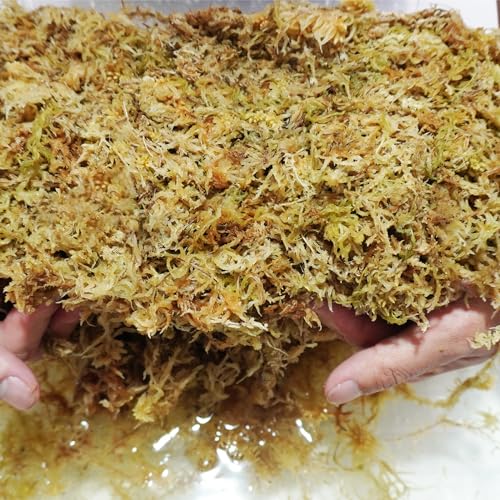 Sphagnum Moss 34QT for Plant Propagation, Great Orchid Potting Mix, Help with Maintain Humidity, 10oz - size: 10oz
