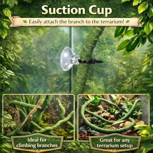 10 Pcs Terrarium Hanging Plant Vines Jungle Climbing Vines | Reptile Plants,Tank Accessories Decorationswith Suction Cups,Bearded Dragon Lizard Snake Geckos Chameleon