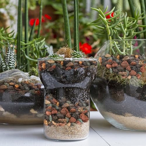TOPZEA 12lb Mix Lava Rocks Pebbles for Plant, Potting Soil Decorative Landscaping Gritty Pumice, Volcanic Stone Gravel for Bonsai Succulent Cactus, Vase Filler, Fairy Gardening, Top Dressing