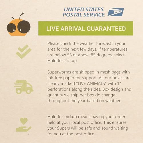 Live Superworms (100, Superworm)