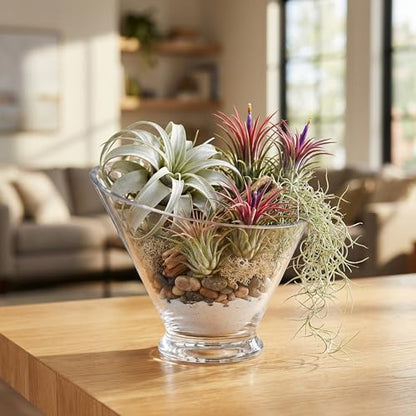 WGVI Slant Cut Calyx Glass Vase, Width 7.25", Height 6.25", Clear Terrarium, Candy Dish, Fruit Jar, Floral Container for Wedding Party Event, Home Office Decor, 1 Piece - size: Slant Cut 6.25"H