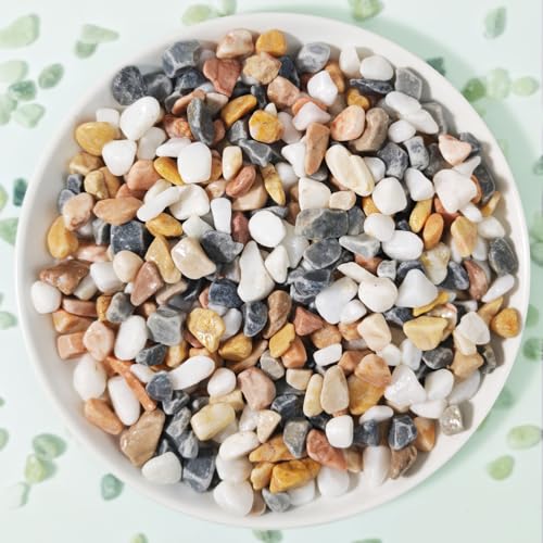 Pebbles for Indoor Plants,River Rocks for Succulent Plants,Aquarium Gravel | 3Lb Decorative Stones Bonsai Garden Pebbles,Succulent Rocks,Small Aquarium Rocks for Landscaping ,Plants,Vase Fillers - color: Grey & White