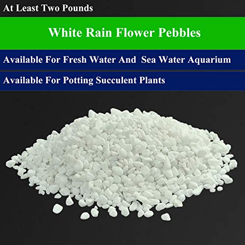 Aquarium Decorative Sands White Gravel Pebbles Fit for Aquariums Terrarium Garden Flowerpot Glassware Vases Decoration,2 Lbs
