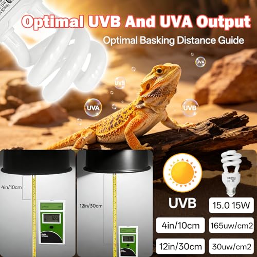 UVB Light for Reptiles 15.0: 15W Intense Desert UVA UVB Bulb for Reptiles - Reptile UVB Light Terrarium Compact Fluorescent Lamp- UVB Light for Reptile and Amphibian with A Free UV Sensor Card - size: 5.5INCH-15.0