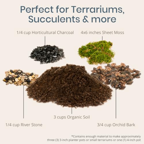 DIY Terrarium Kit for Succulents & Air Plants, Terrarium Starter Kit with Organic Soil, Orchid Bark, Horticultural Charcoal, River Rocks & Preserved Moss for Fairy Gardens & Mini Terrariums (Large)
