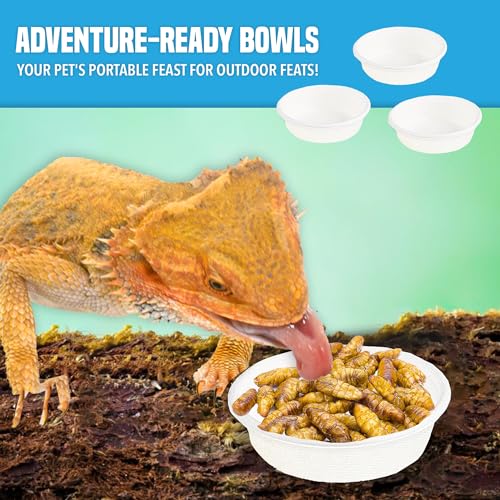 JOR Pet Food and Water Cups, No More Soaking Dishes, Fits on Slim Ledges, No Food Leftover, No Plastic Leftover, Add to Compost or Isopod Tub, Suitable for Gecko Tanks (2 oz, 100 Pack)