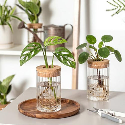 6 Set Propagation Station Jar Desktop Glass Planter Station Flower Vases Water Terrarium Jar with Cork Lid for Propagating Flower Plants Centerpiece Office Home Garden Decor (Small) - size: Small