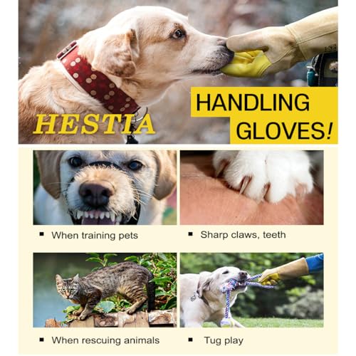 LENITH Animal Handling Gloves Bite Proof, Multi-purpose Pet Glove for Grabbing Reptile, Grooming, Trips to Vet Cat Dog Bird Falcon Livestock Snake Large