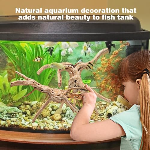 WDEFUN Natural Spiderwood for Aquarium Decor 7-Piece 4''-8'' Long Natural Driftwood Branches for Fish Tank Decorations - size: Spiderwood （4-8 inch pack of 7）