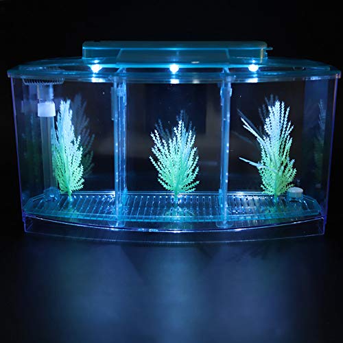 LIZEALUCKY Betta Fish Tank, Adjustable LED Light Acrylic Small Aquarium, Fish Tank Starter Kit with Isolation Plates and Water Change Valve, Blue - color: Blue