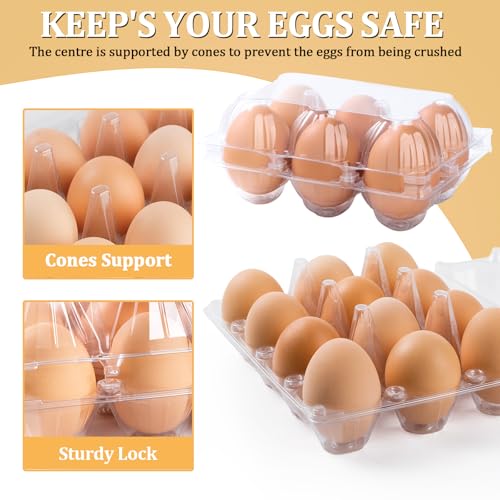200PCS Plastic Egg Cartons 6 Count, Half Dozen Egg Cartons Cheap Bulk,Clear | Reusable Egg Carton Holder for Family, Pasture, Farm Markets Display - Medium Egg Containers 2x3 Grids - style: 2x3Grids-200count