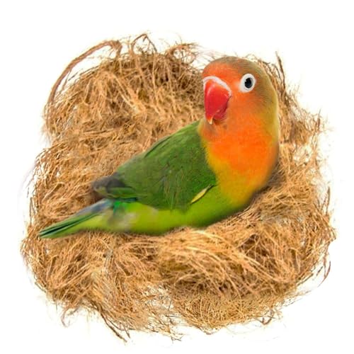 SunGrow Finch Coconut Fiber, Loose Bedding Substrate for Birds Nest Cages, Nesting Material for Budgie Hummingbird Canary Parakeet, 1.5 oz - color: Natural coconut fiber, size: 1.5 Ounce