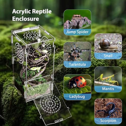 Jumping Spider Enclosure, Acrylic Praying Mantis Habitat, 8"*4"*4" Insect Terrarium, Small Reptile Cage Accessories with Secure Lock for Arboreal Tarantula, Snails, Bug, Lizard - size: Small-8''x4''x4''