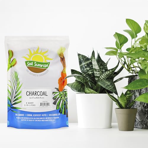 Soil Sunrise Horticultural Charcoal for Indoor Plants (4 Quarts) Hardwood Soil Additive for Orchids, Terrariums, and Gardening - size: 4 Quarts