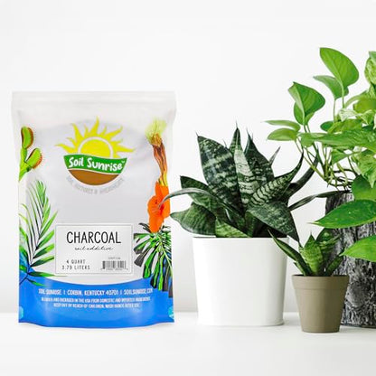 Soil Sunrise Horticultural Charcoal for Indoor Plants (4 Quarts) Hardwood Soil Additive for Orchids, Terrariums, and Gardening - size: 4 Quarts