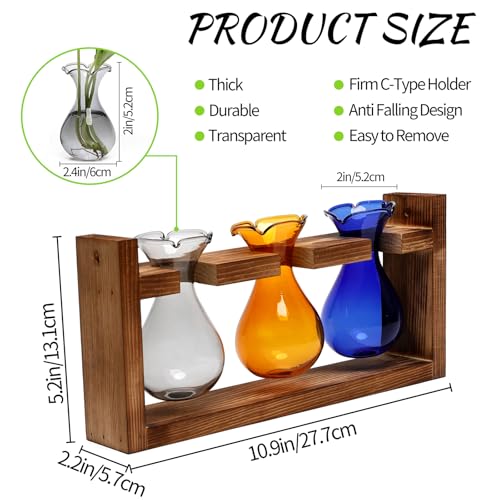 Plant Propagation Station Plant Terrarium Unique Birthday Gifts for Women | Plant Lovers Home Office Decor Planter with Wooden Stand - 3 Bulb Glass Vase