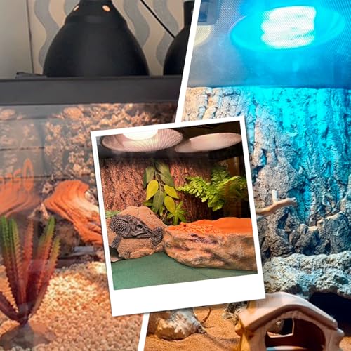 Reptile Lamp Bulb Fixture 5.5 Inch Deep Dome with Switch - Ideal for 60W/75W/100W/150W Heat Lamp Bulbs, Compatible with All E26 UVA/UVB/Basking Heat Bulbs, Supports Up to 150 Watts - style: Cone Dome (Max 150W)