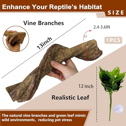 BNOSDM 2Pcs Reptile Climbing Branches Decor,2.5-3.25" Think Snake Climbing Branch,Gecko Climb Wood,Lizard Bold Forest Branch,Tank Habitat Tree Trunk Decorations for Bearded Dragons,Chameleons,Frogs - size: 2PCS|XL:2.50-3.25"D,13"L