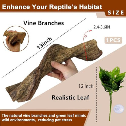 BNOSDM 2Pcs Reptile Climbing Branches Decor,2.5-3.25" Think Snake Climbing Branch,Gecko Climb Wood,Lizard Bold Forest Branch,Tank Habitat Tree Trunk Decorations for Bearded Dragons,Chameleons,Frogs - size: 2PCS|XL:2.50-3.25"D,13"L