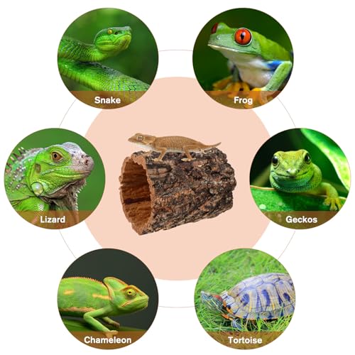 POPETPOP Reptile Hideout Cork Bark: Wood Tree Trunk Climbing Hide Terrarium Decor Shelter Cave for Gecko Lizard Snake Hermit Crab Bearded Dragons Tank Decor, 5. 89 X 4. 91 X 4. 91 Inches - size: 5.89 X 4.91 X 4.91 Inches