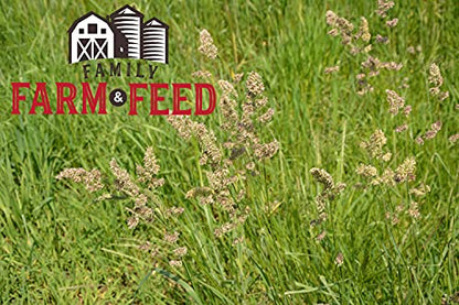 | Timothy Grass Food | Small Pet | Young and Adult | Pellets | 3 Pounds