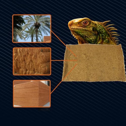 Reptile Bedding Mat and No Deformation 2 Pcs Natural Coconut Fiber with Good Air Permeability Wear-Resistant Cushion Liner for Reptile Pet Box and Microlandschaft Landscaping