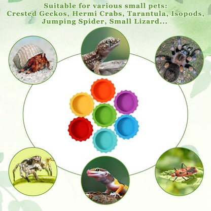 7 Pack Reptile Feeding Dish, Gecko Food Dish, Reusable Silicone Reptile Water Dishs, Small Pet Tank Accessories for Crested/Leopard Gecko, Hermit Crab, Tarantula, Isopods