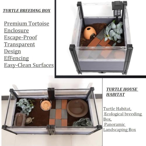 Large Tortoise Habitat Enclosure for Yellow-Margined