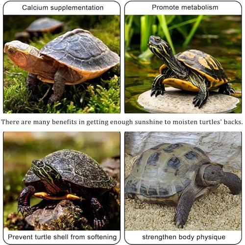 Turtle Basking Platform,Turtle Tank Accessories,Aquarium Turtles Dock Habitat Tortugas para Floating Stand Aquatic Tortoise Decor Ramp for Agua Reptile Pet