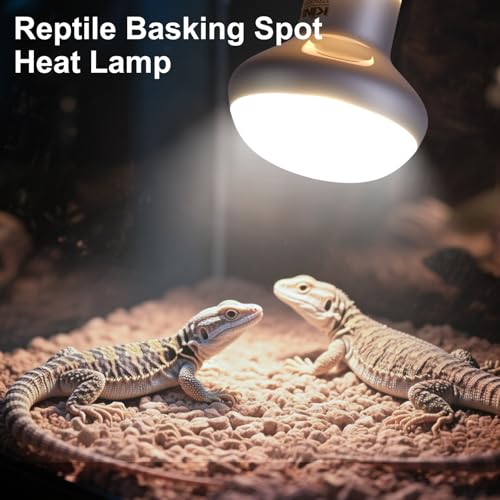 KINUR Reptile Heat Lamp Bulb-75W 2 Pack,UVA Basking Light,Natural Daylight Heating Light for Bearded Dragon,Turtle,Tortoise,Lizard,Snake,Gecko,Chicken with Digital Temperature Strips E26 - color: White-2 Pack