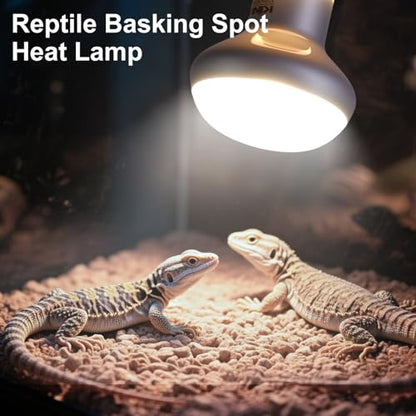 KINUR Reptile Heat Lamp Bulb-75W 2 Pack,UVA Basking Light,Natural Daylight Heating Light for Bearded Dragon,Turtle,Tortoise,Lizard,Snake,Gecko,Chicken with Digital Temperature Strips E26 - color: White-2 Pack