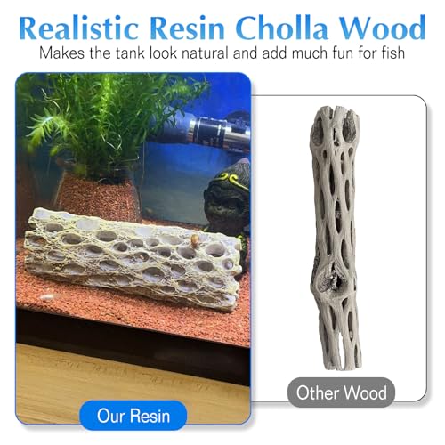 kathson Resin Cholla Wood Aquarium Shrimp Hideout Fake Fish Tank Hollow Log Hideawy Reptile Climbing Corner Branch Hermit Crab Terrarium Ornament Decoration (2 Packs)