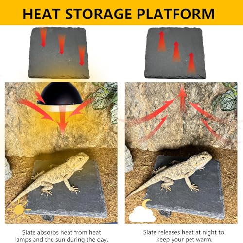 Reptile Basking Platform 6.0''x6.0'' Turtle Rock Plate Slate Food Feeding Dish Bowl Bathing Resting Terrace for Chameleon Lizard Bearded Dragon Gecko Snake Frog Newt (6.0''/15CM) - size: 6.0inches(1pcs)