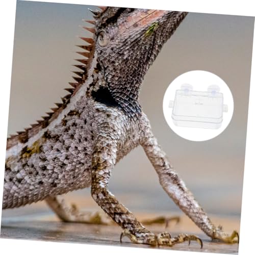 Hemobllo Reptile Feeding Trough and Water Dish Large Escape-Proof Food Bowl for Bearded Dragon Gecko Chameleon Terrarium Accessory